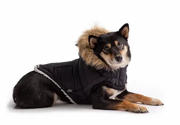 GFpet Urban Parka