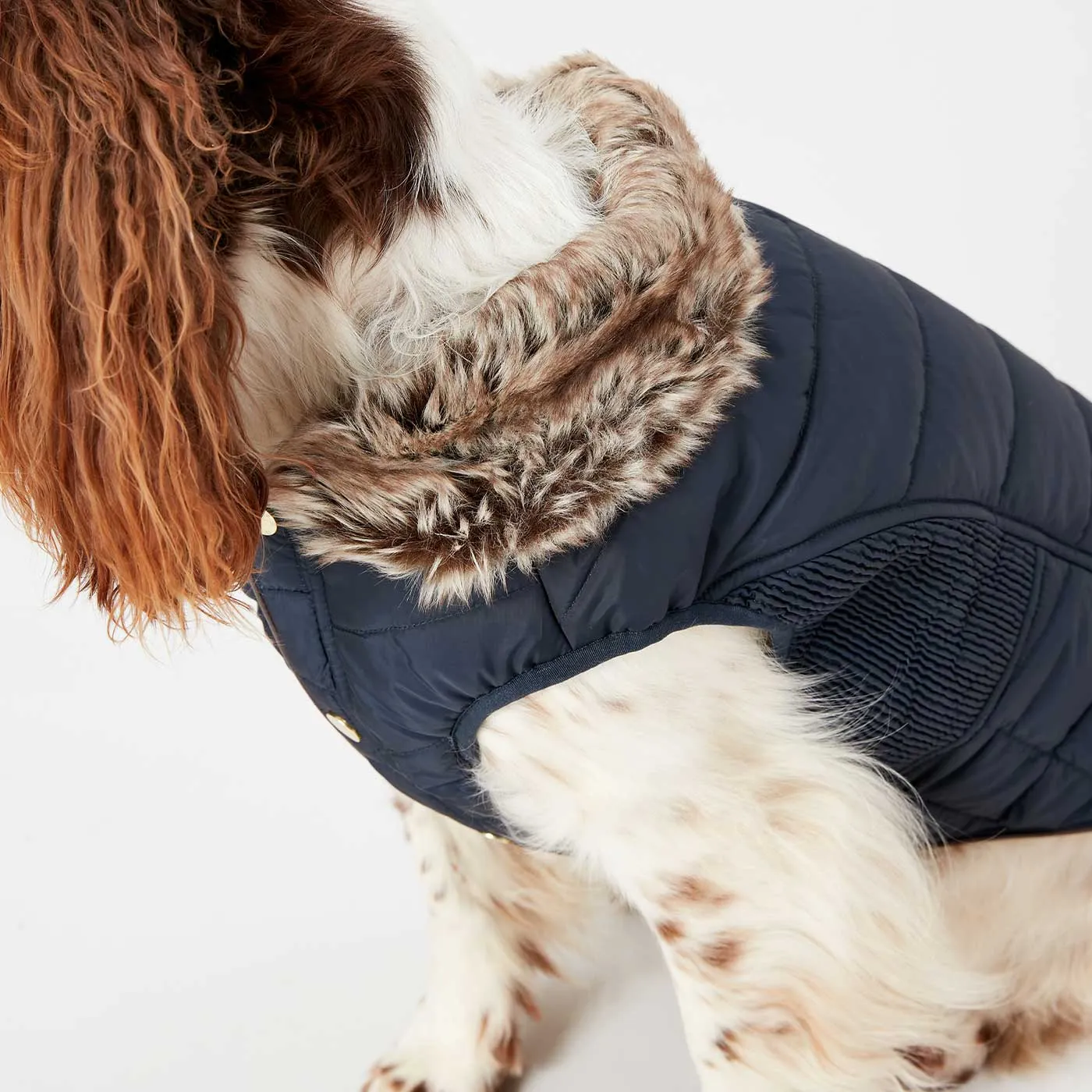 Joules Cherington Dog Coat