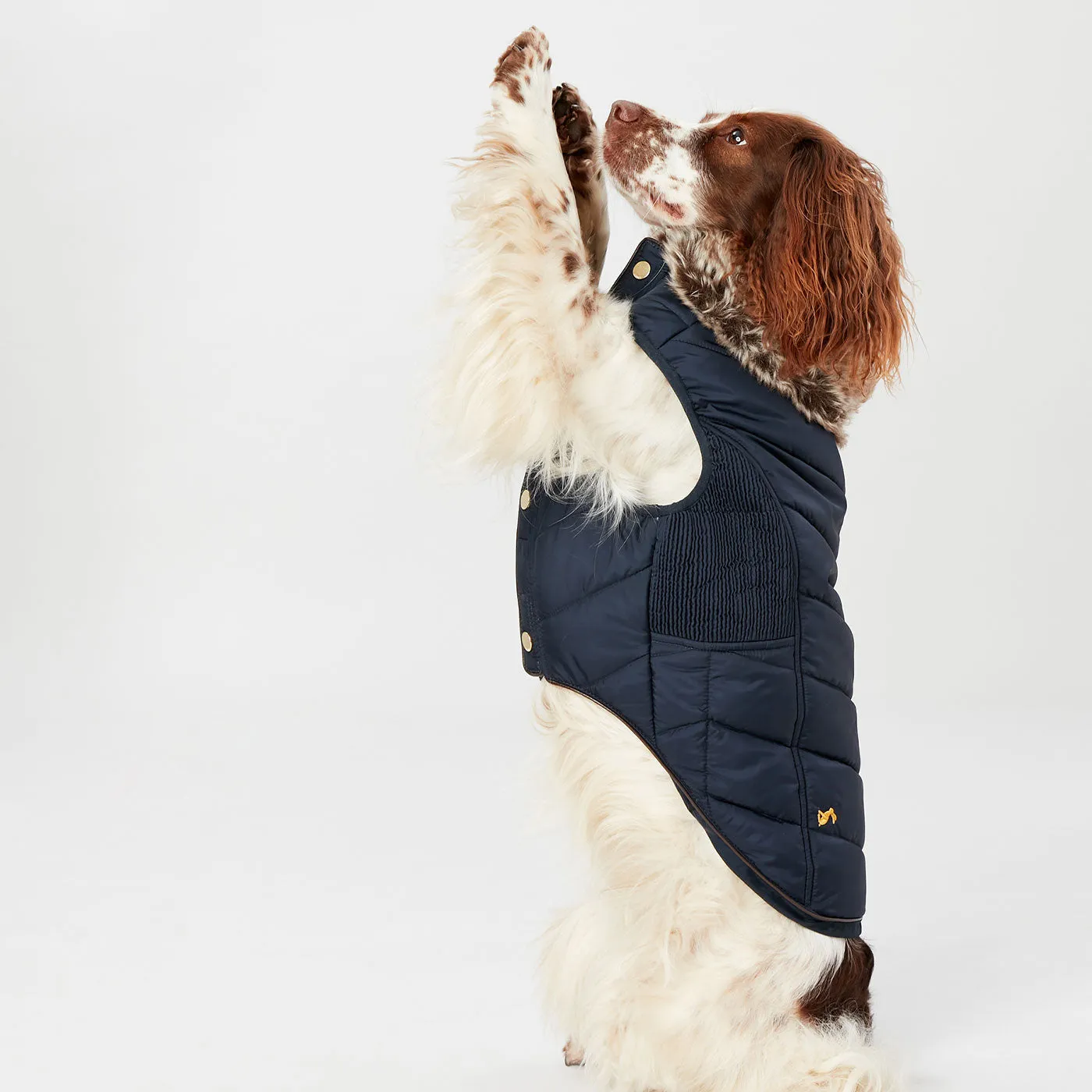 Joules Cherington Dog Coat